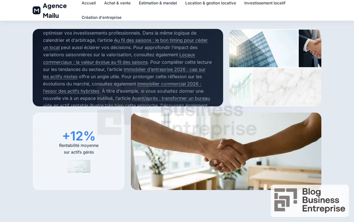 Capture : Agence Mailu - Immobilier & Stratégie d'Affaires